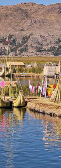 imagen portada puno 800x1159 imagen portada puno 800x1159